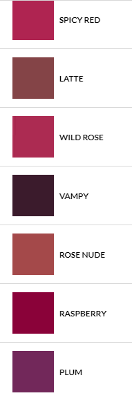 Labial Studio Look Mate + Girlink Connection 50 ml